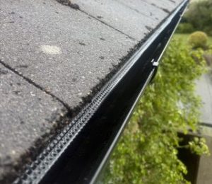 Gutter Clearance