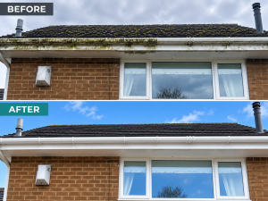  uPVC, Gutter, Soffit and Fascia Cleaning